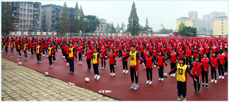 全国足球特色学校评估,四川省洪雅县中小学足球比赛