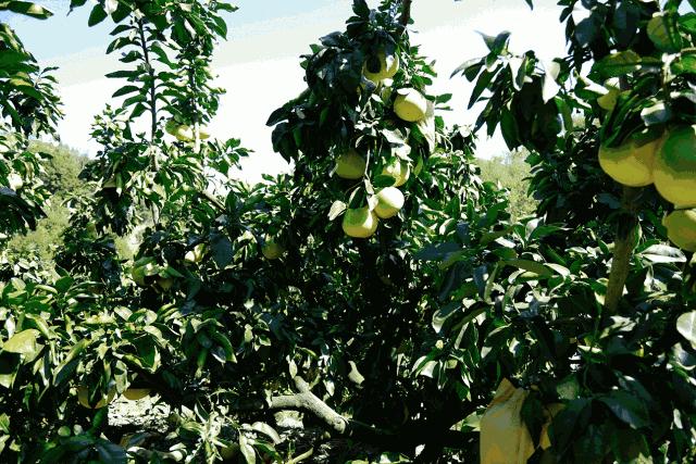 潮州市网红景区,潮州古城打卡地