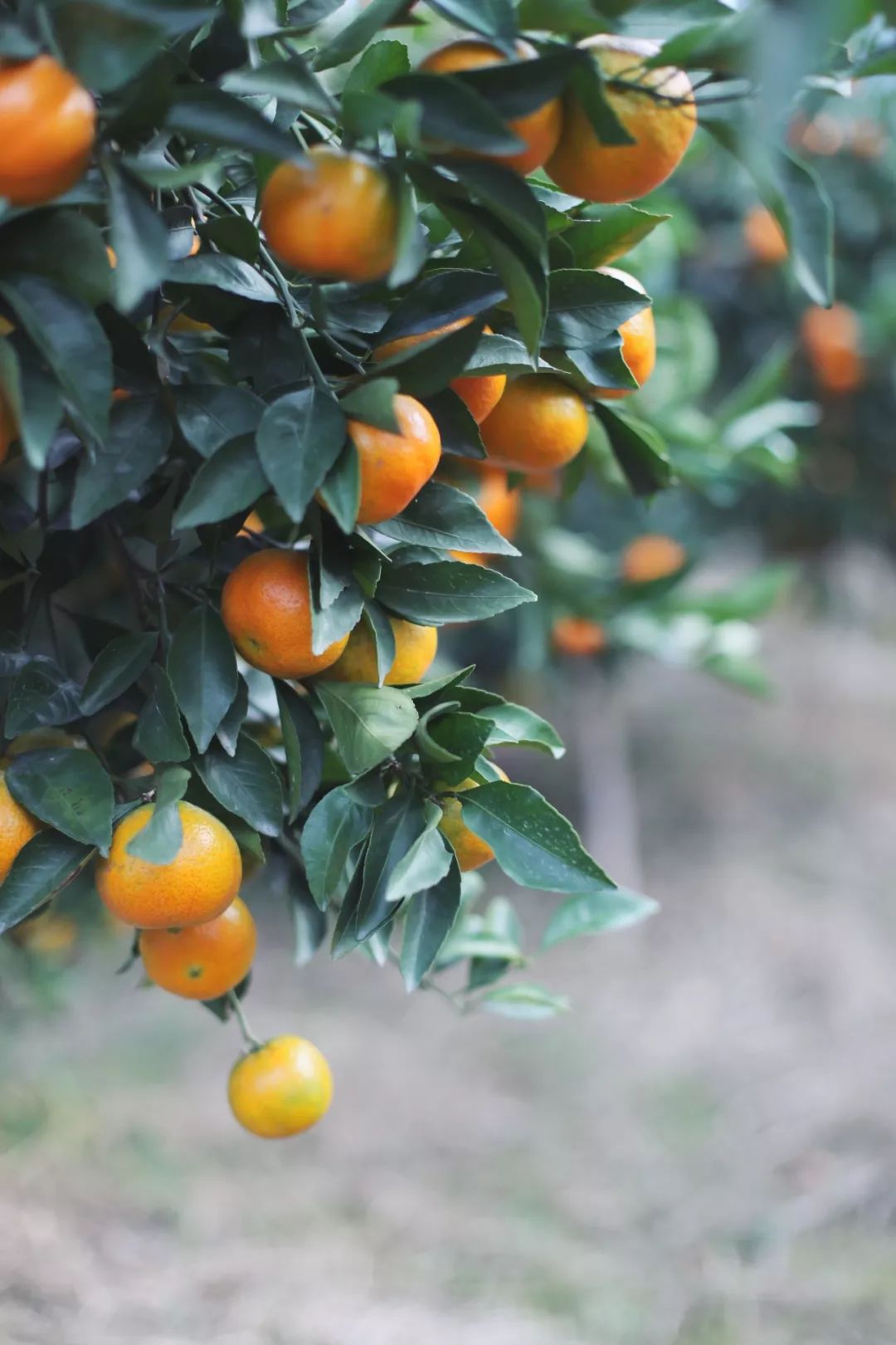 没有人来人往的城市,没有人山人海的地方