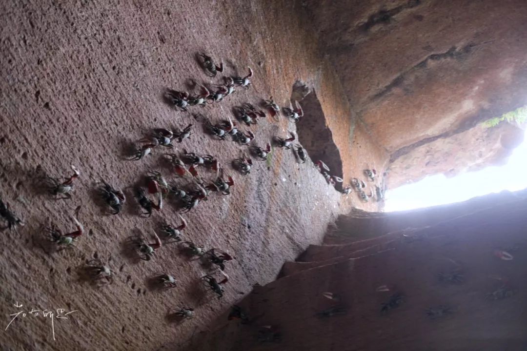 没有人来人往的城市,没有人山人海的地方