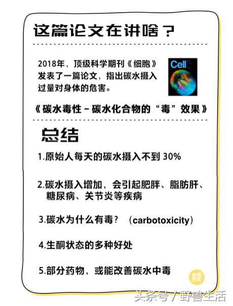 碳水化合物都是对身体有害的吗,不吃或少吃碳水化合物的危害