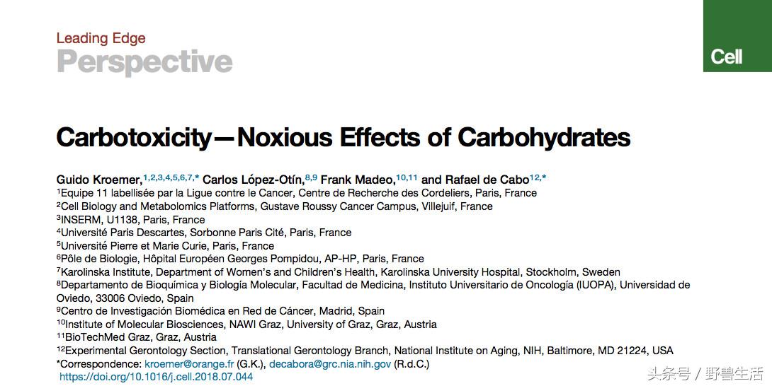 碳水化合物都是对身体有害的吗,不吃或少吃碳水化合物的危害