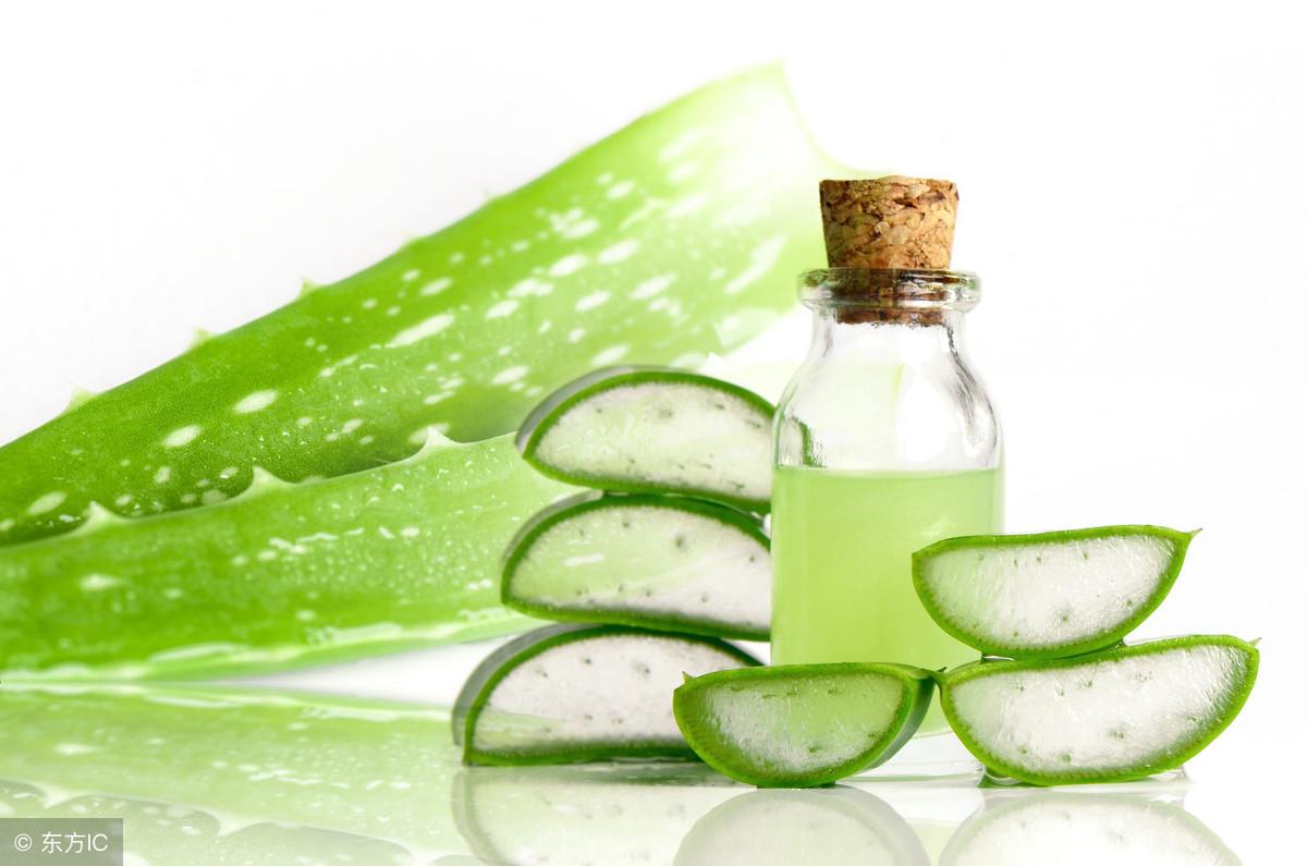 芦荟胶的作用正确使用方法,用了大量的芦荟胶怎么办