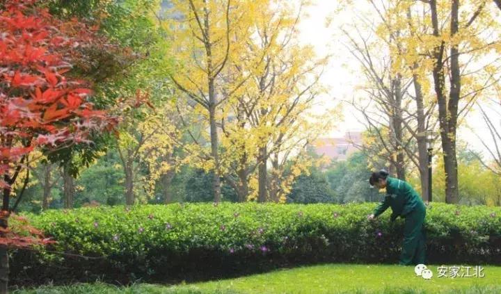 南京楼盘业主怒怼物业,楼盘业主与物业矛盾频发