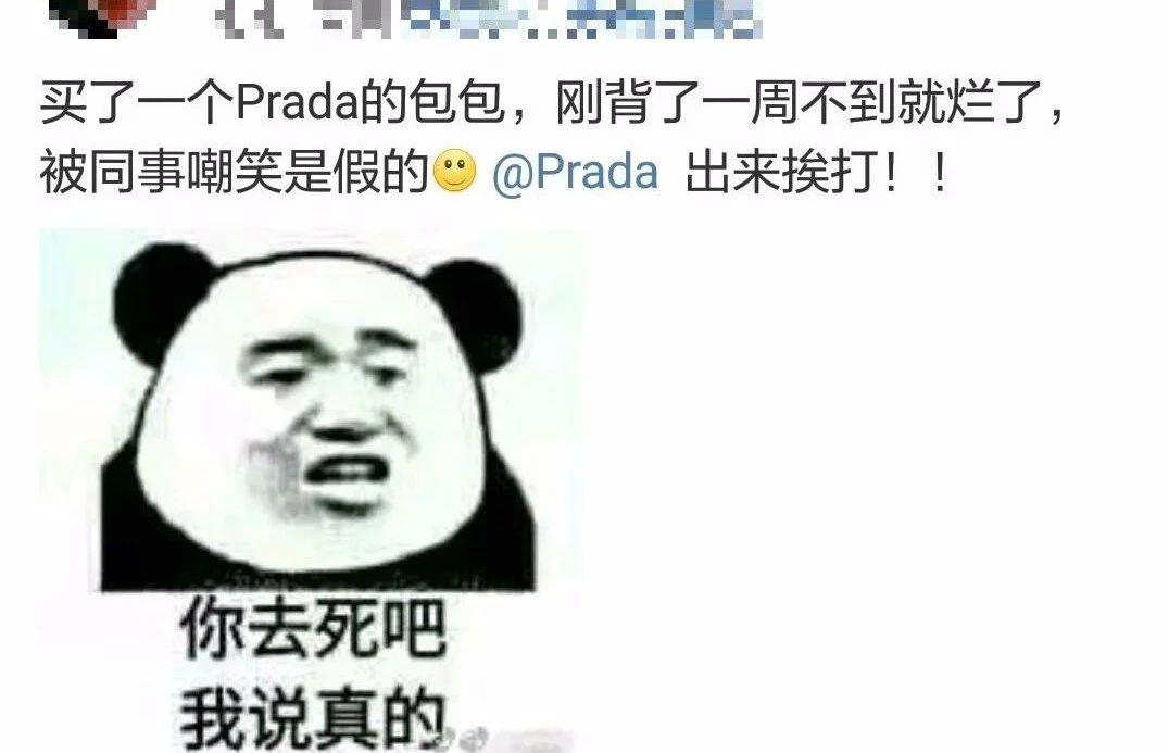 gucci泳衣不防水,gucci不防水的泳衣