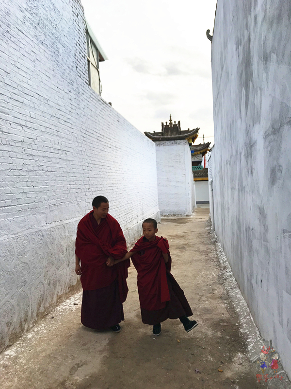 为什么藏人都说喇嘛最聪明?探秘青藏高原寺中的灵魂密码师