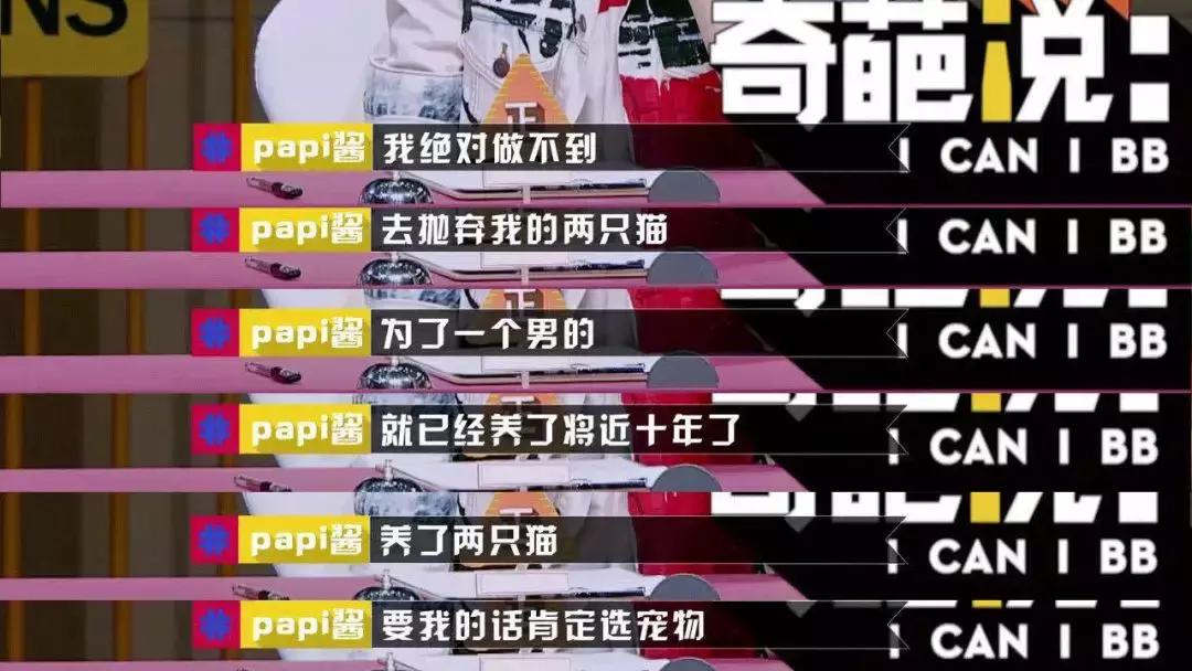 给猫咪打出脑震荡,男朋友把猫打死了