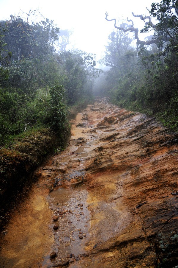 人文摄影斯里兰卡,锡兰风景