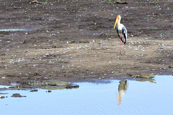 人文摄影斯里兰卡,锡兰风景