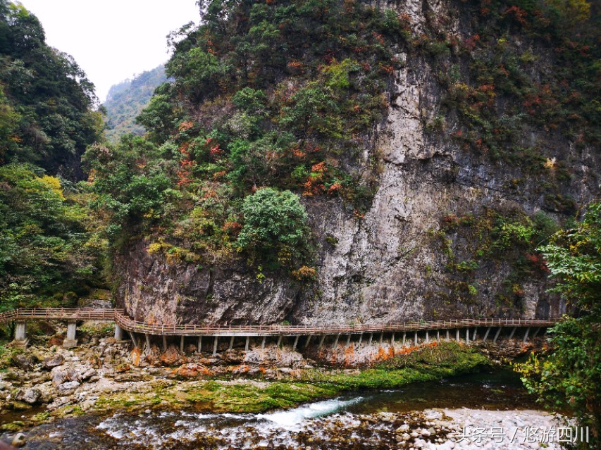 2020光雾山红叶观赏最佳地点,巴中光雾山红叶路线