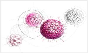Hpv和tct检查结果怎么看,hpv和tct报告单怎么看