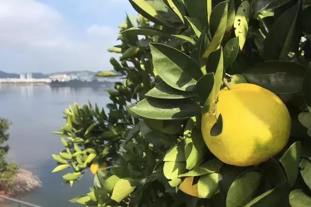 40岁大叔改造老宅,一位大叔改造农村自建房