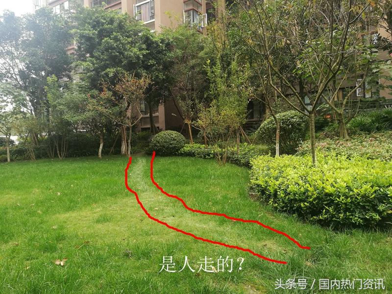 宏达世纪丽景小区好吗,宏达世纪丽景物业