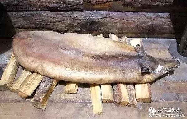 藏香猪卡C位的另类奋斗史