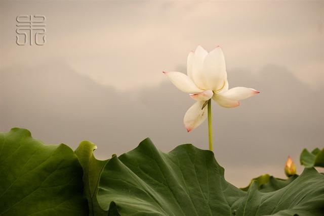 放生消业功德无量南无阿弥陀佛,随喜赞叹南无阿弥陀佛功德无量