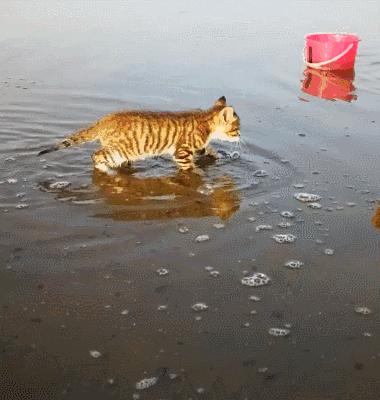 “如果被萌坏了,我帮你叫110救护车!”
