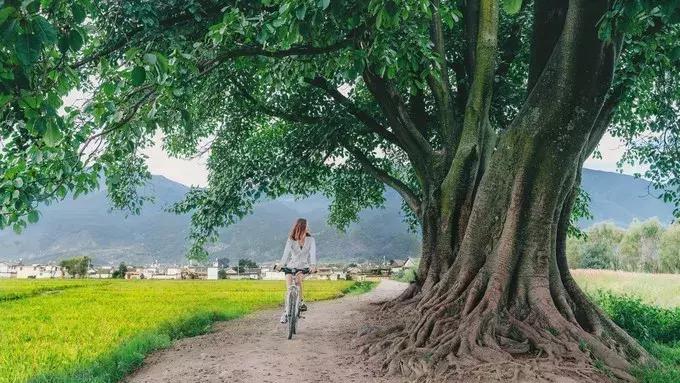 洱海打卡地拍照,洱海旅拍最佳景点推荐一下