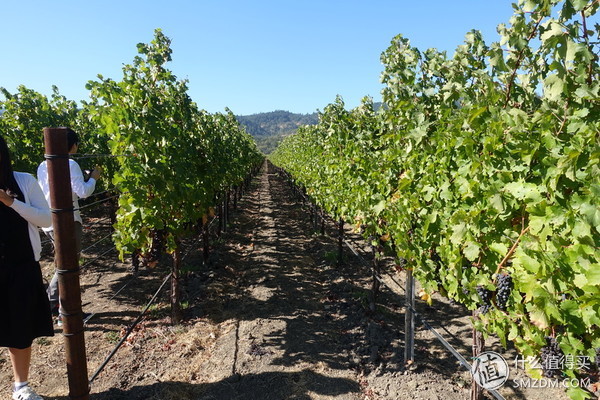 美西15天自驾游记,徒步25天暴走700公里