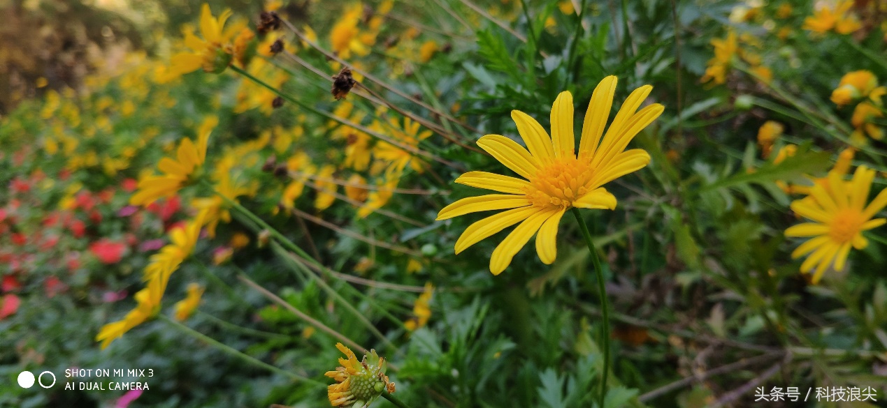 小米mix3最新价目表,小米mix3目前值不值得买