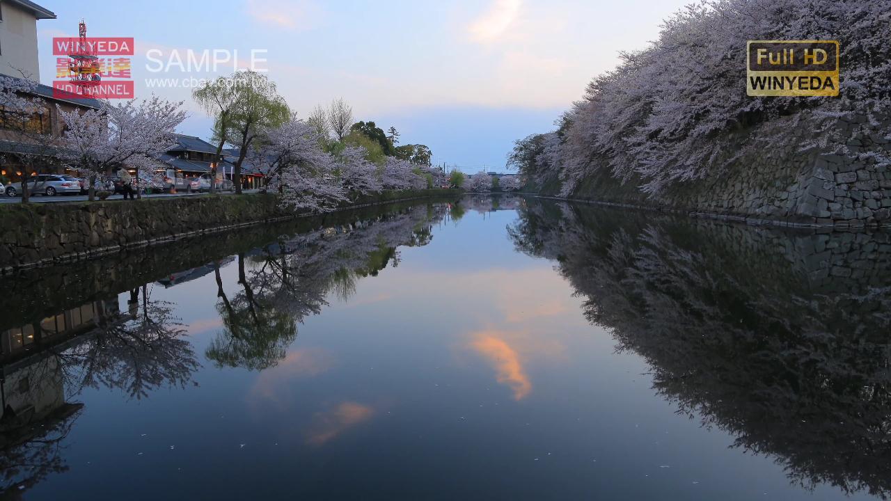 芒果嗨q电视盒子怎么投屏,海美迪电视盒子深度测评