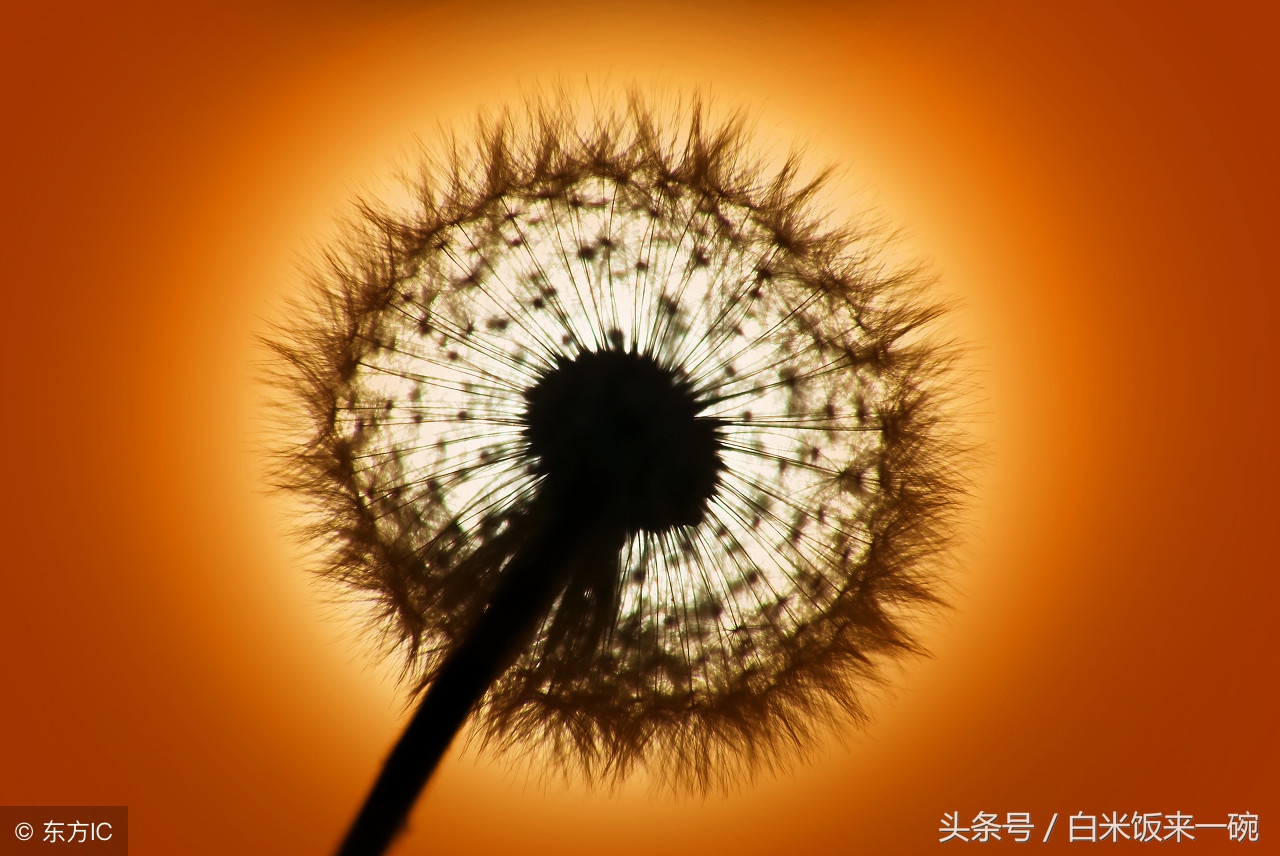 朗朗上口有趣的童谣有哪些,童谣作品健康向上朗朗上口