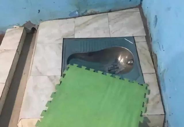 电击教授杨永信所在的临沂网戒所，传出一声声孩子惨叫……