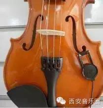 三招教你辨别靠谱小提琴,小提琴如何鉴别是不是木头