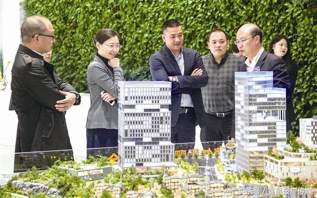 苏宁控股集团最新信息,苏宁控股集团发展