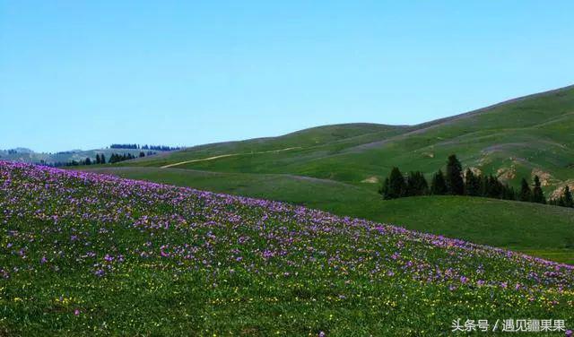 伊犁最美旅游风景区,伊犁旅游攻略探索最美风光