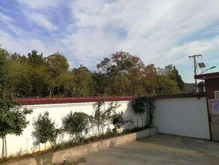 清泉石上流水,清泉石上流生生不息