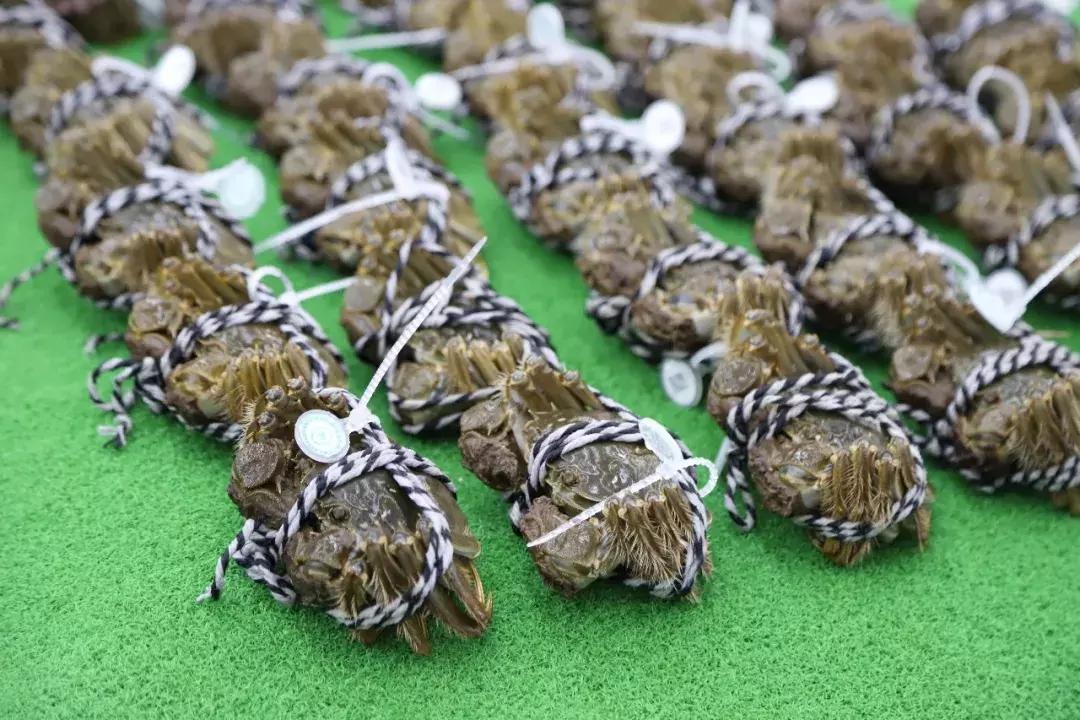 走了15000步再吃晚饭会胖吗,走了15000步