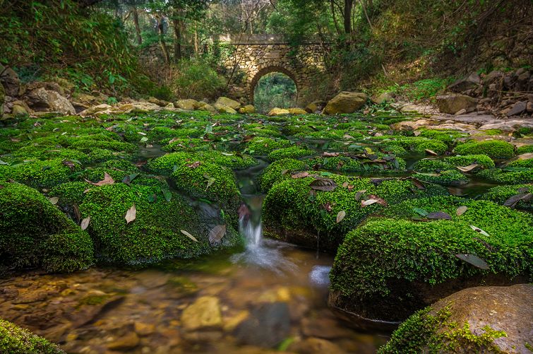 北仑十大爬山景点,北仑免费爬的山有哪些景区