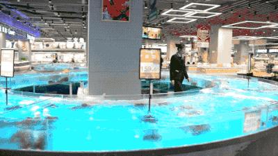 逛水族馆满脑子都是海鲜,水族馆里的海鲜