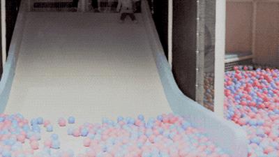 逛水族馆满脑子都是海鲜,水族馆里的海鲜