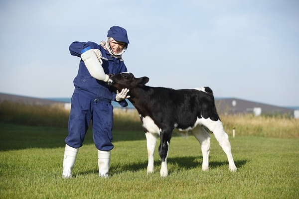 为什么深圳人要去香港买奶粉,现在去香港买奶粉得多么