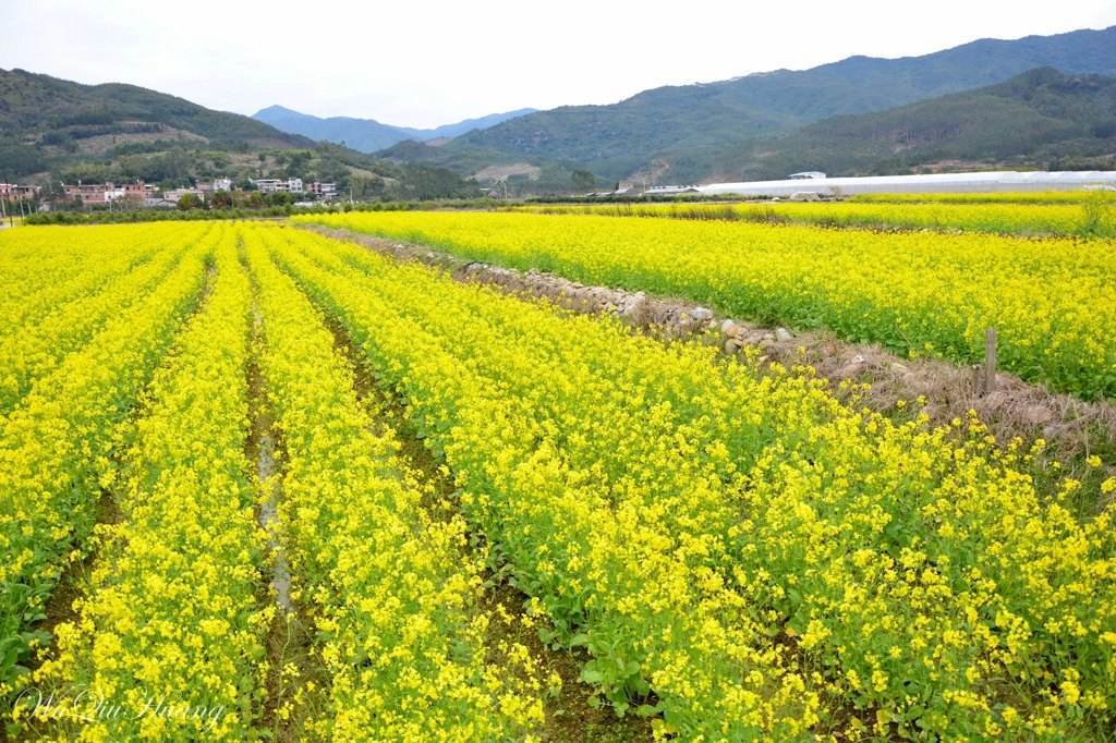 漳州哪里适合周末去玩,周末在漳州去哪玩最好玩