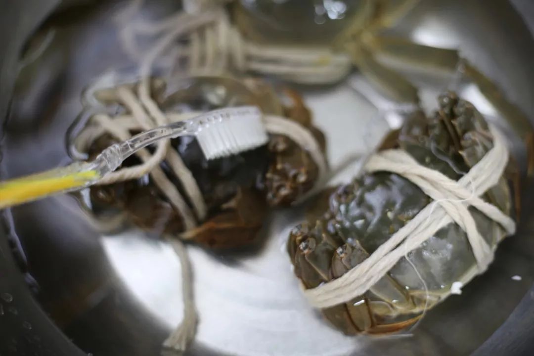 品尝清蒸大闸蟹公蟹和母蟹,清蒸大闸蟹前蟹需要处理吗