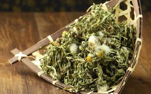 胆囊炎和肝胆湿热有什么关系,肝胆湿热的胆囊有什么症状