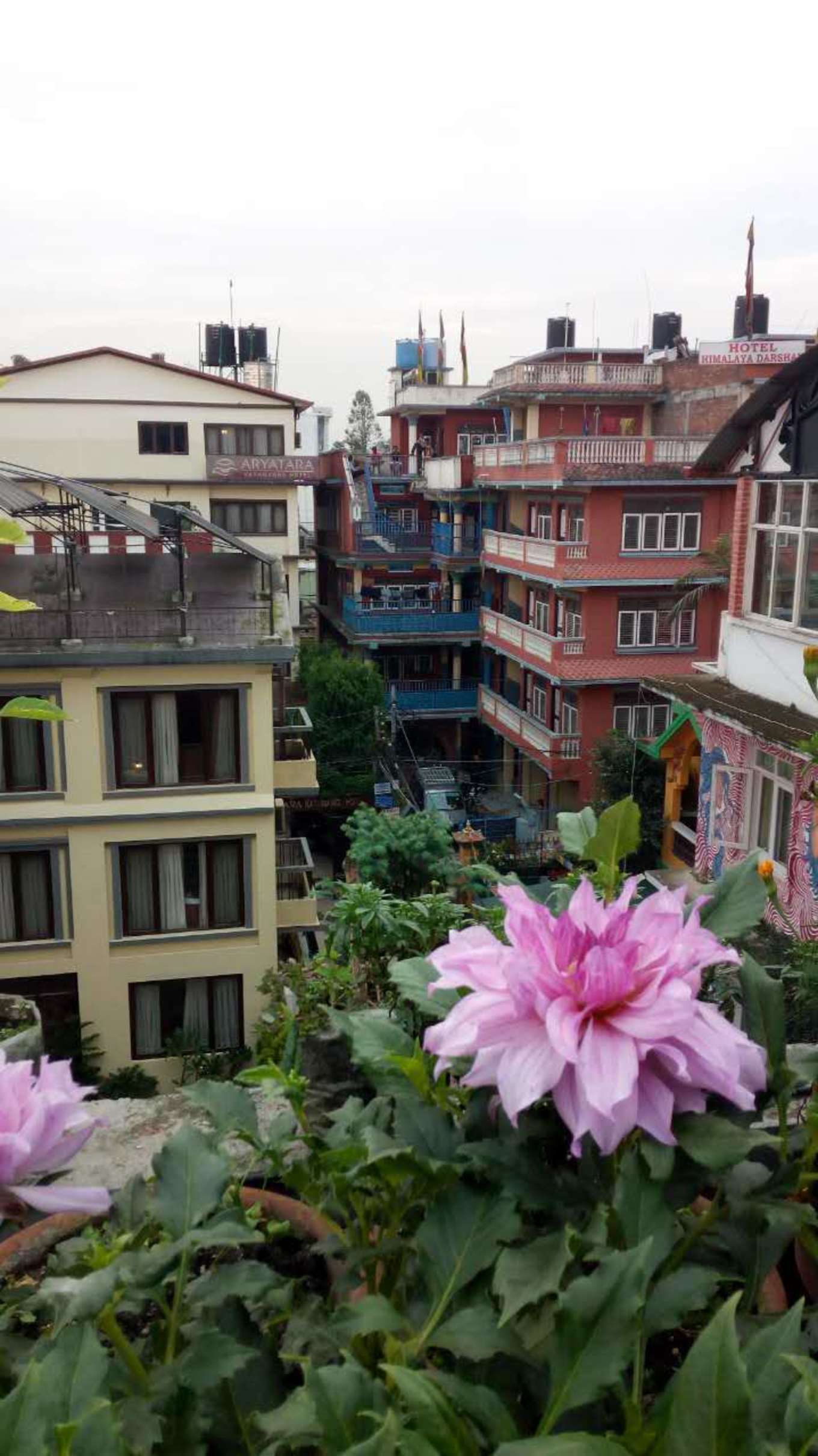 2万元旅游攻略,尼泊尔三日游攻略大全图片