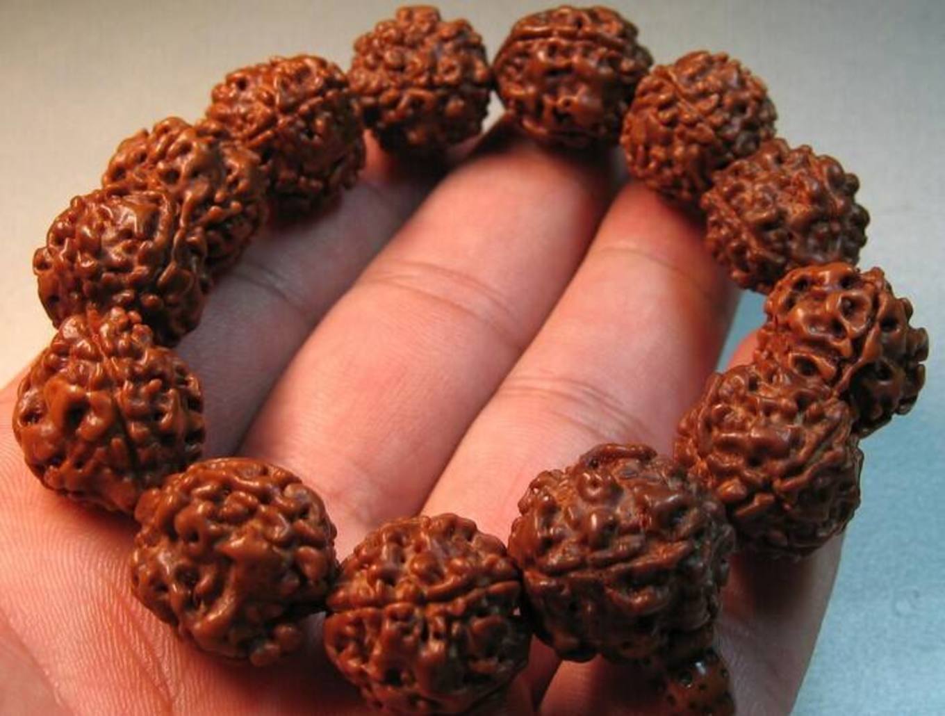 2万元自驾游攻略,去尼泊尔自由行攻略