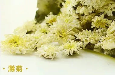 怀菊毫菊杭菊滁菊对比图,亳菊滁菊贡菊杭菊鉴别