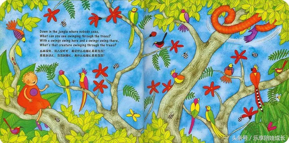 animalboogie绘本,thebook绘本磨耳朵