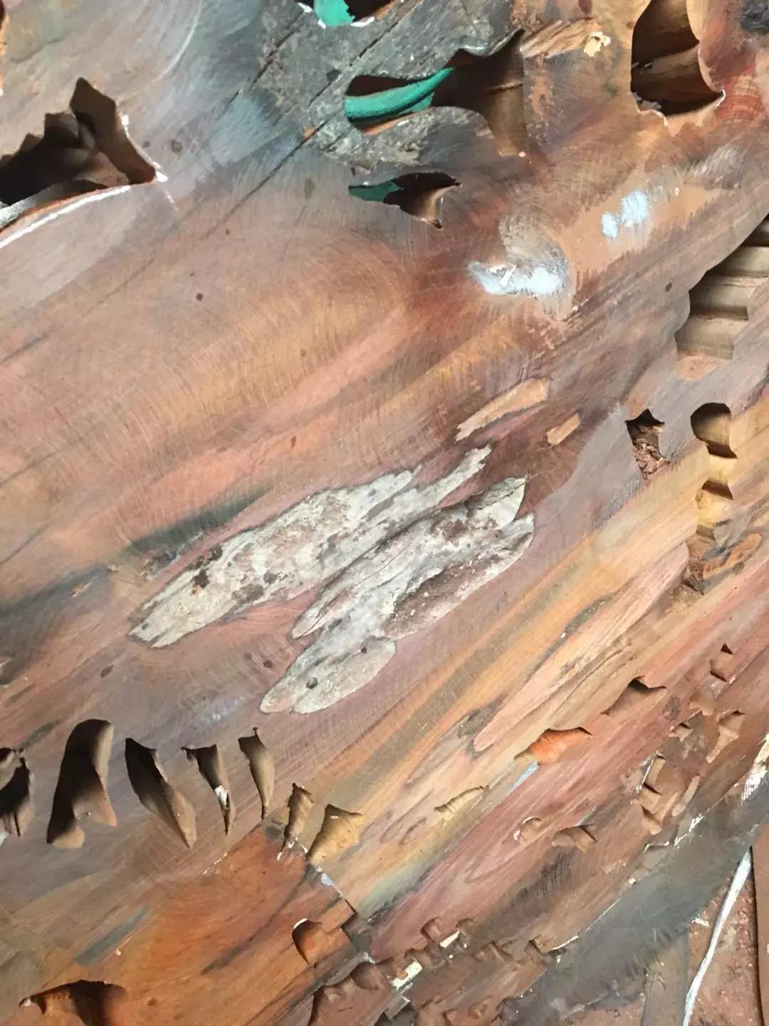 越南红木和国内红木家具的差别,什么是红木家具品质