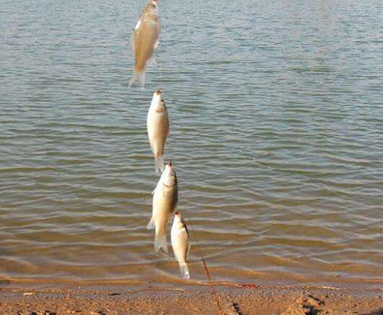 冬天串钩拴几个钩好,串钩断了一个钩怎么绑新钩