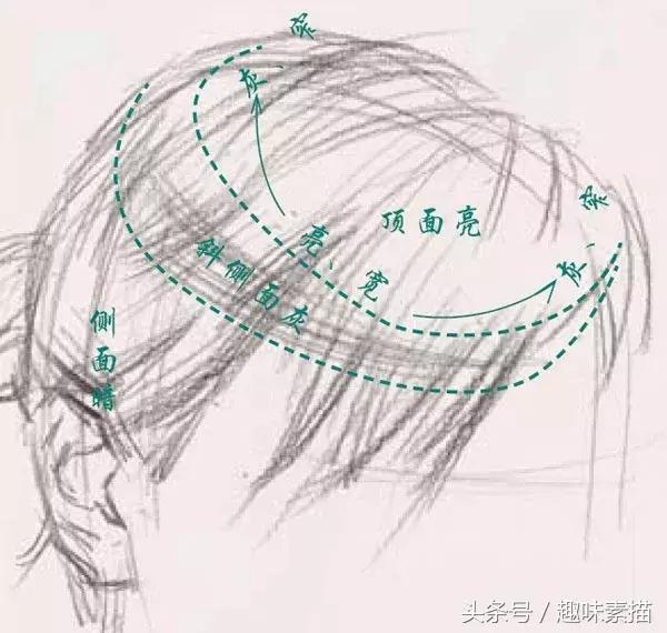几招教你画头发,一分钟教你画头发