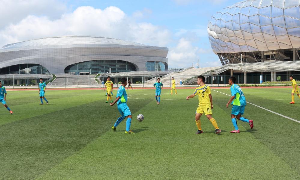 王健林对大连足球的评价,大连足球万达时期回顾