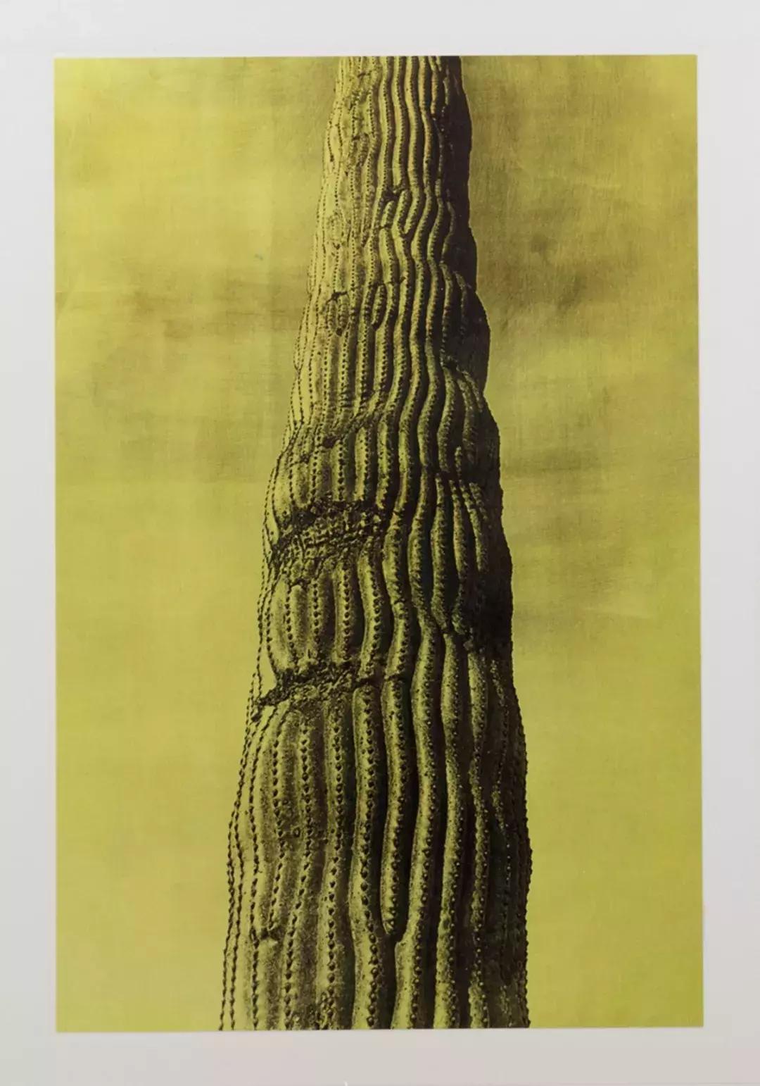 装帧设计最好看的书,世界最美书籍装帧设计