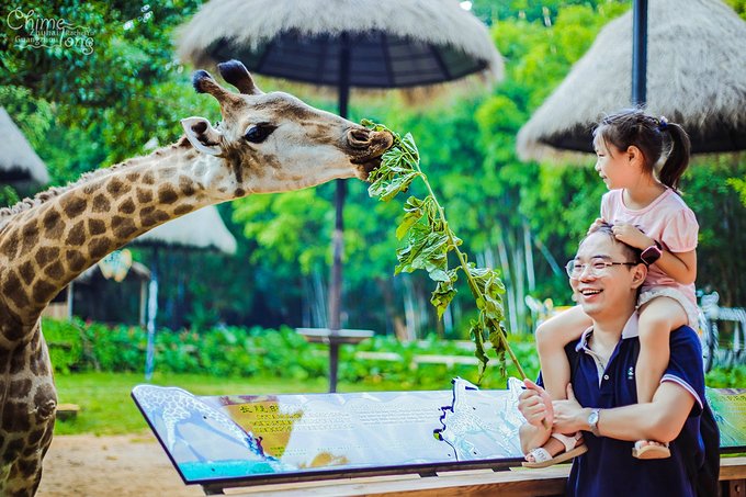 不出国门看世界完整版,不出国门就能看遍五大洲珍奇动物