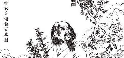 古人是如何发现茶叶可以泡水喝的,古人喝茶什么时间用茶叶