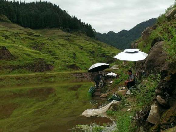 抬线钓法全过程,四川最厉害的钓法